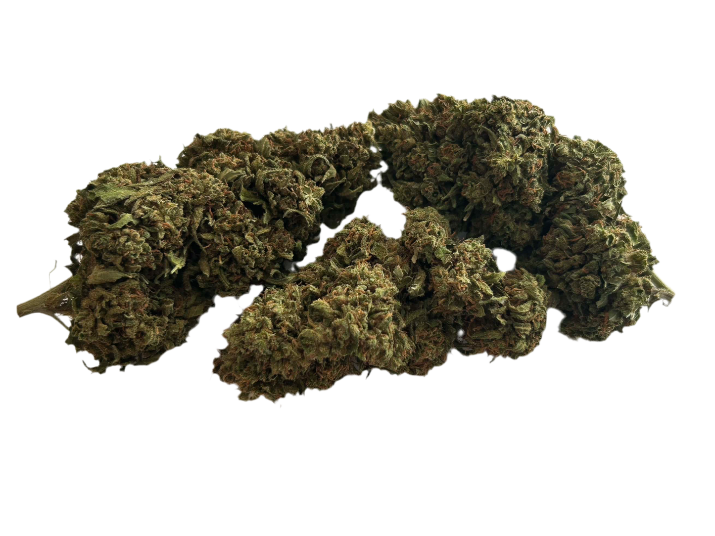 GELATO COOKIES 🇺🇸