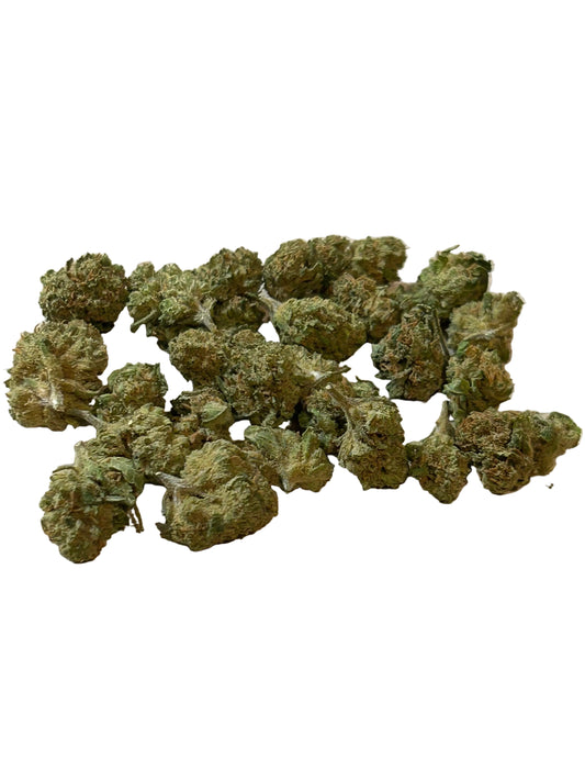 MINI BUD HARLEYQUEEN