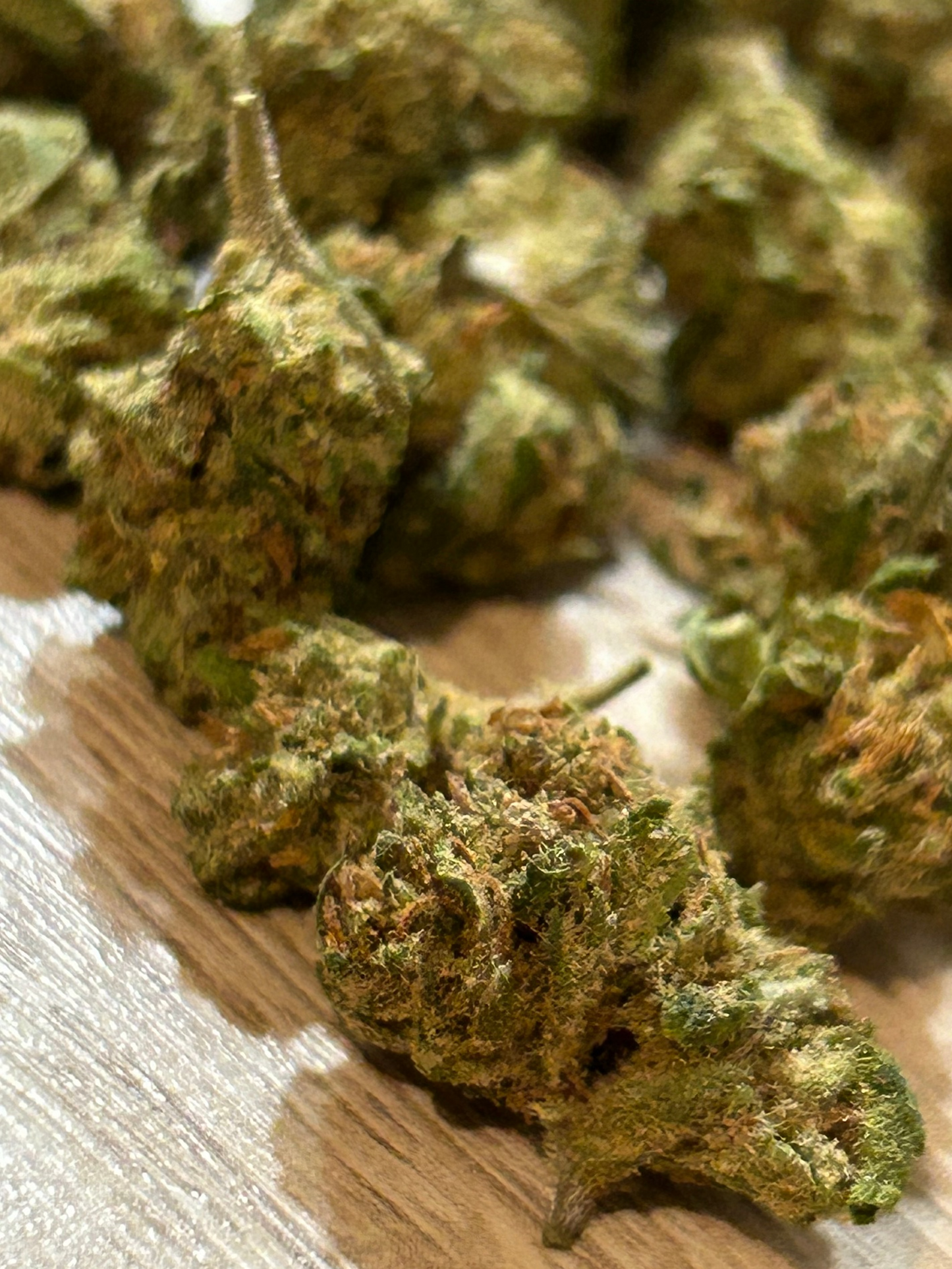 MINI BUD HARLEYQUEEN